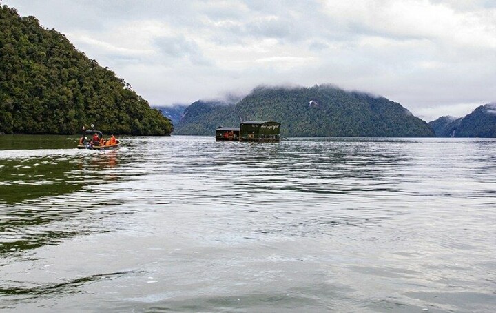 Cooke certifica ASC el 100% de sus centros en Chile y reafirma su camino sostenible