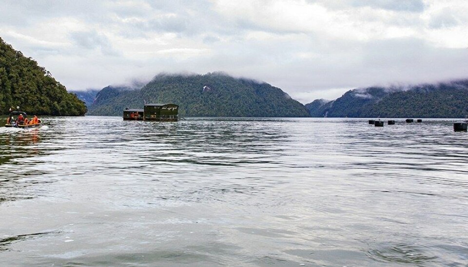 Centro de cultivo de Cooke Aquaculture Chile.