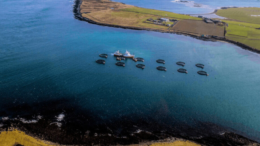 Centro de cultivo de Cooke Aquaculture en Escocia. Foto: Fishfarmingexpert.