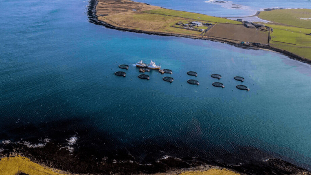 Centro de cultivo de Cooke Aquaculture en Escocia. Foto: Fishfarmingexpert. Centro de cultivo de Cooke Aquaculture en Escocia. Foto: Fishfarmingexpert.