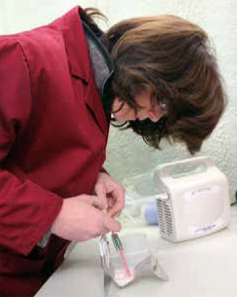 La técnico Kim Bentley llenando contenedores especiales con semen. Imagen: Cooke Aquaculture.