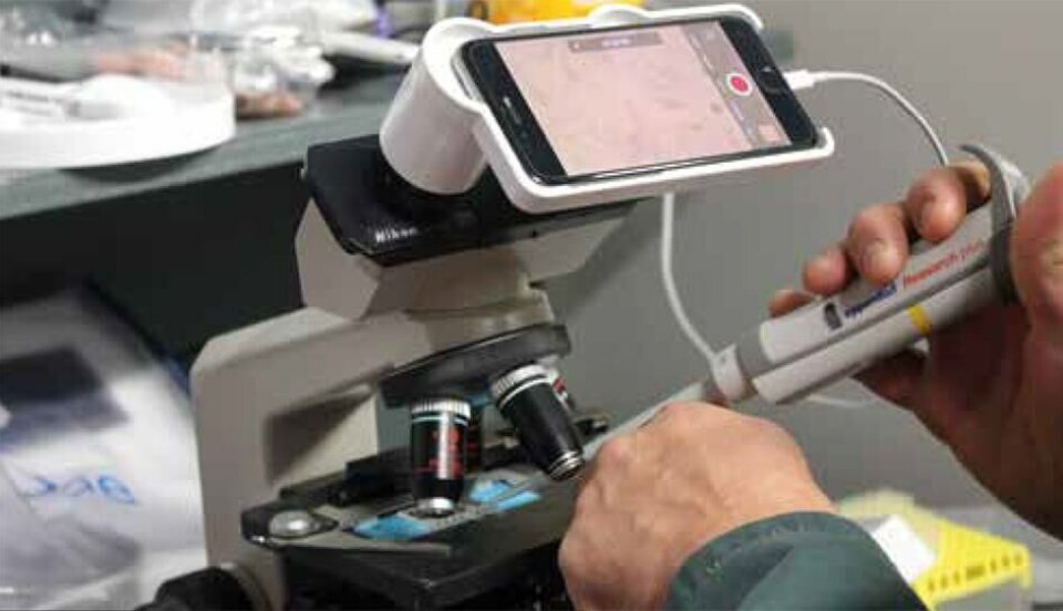 Una montura especial permite que un teléfono muestre y capture videos de las muestras de semen colocadas bajo el microscopio. Imagen: Cooke Aquaculture.
