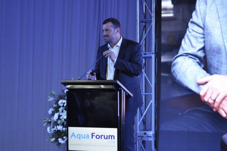 Sebastián Sichel, dirigió la presentación “Programas estratégicos de Corfo y su impacto en la acuicultura”. Imagen: Daniella Balin, Salmonexpert.