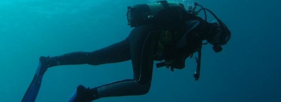 Los buzos acuícolas, invisibilizados en el Código del Trabajo: ¿es hora de cambios?