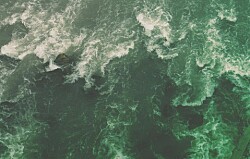 Gobierno anuncia comisión científica independiente para examinar marea roja