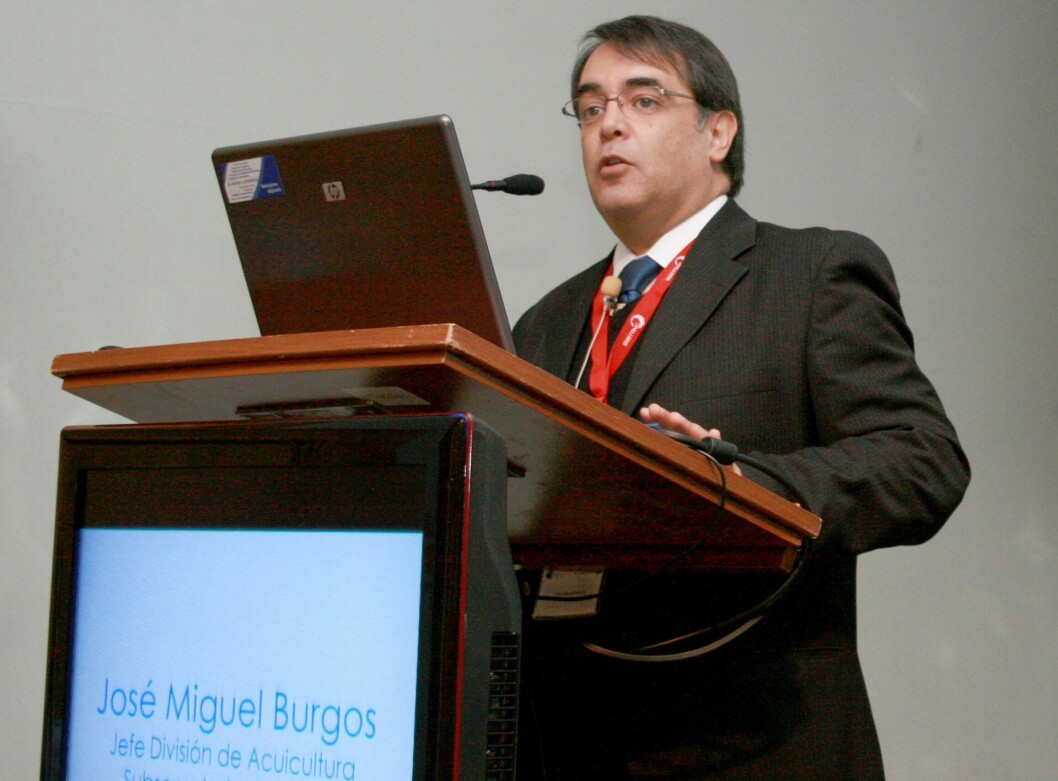 José Miguel Burgos, exdirector nacional de Sernapesca, actual investigador de la Universidad de Chile y consultor en Acuiestudios.