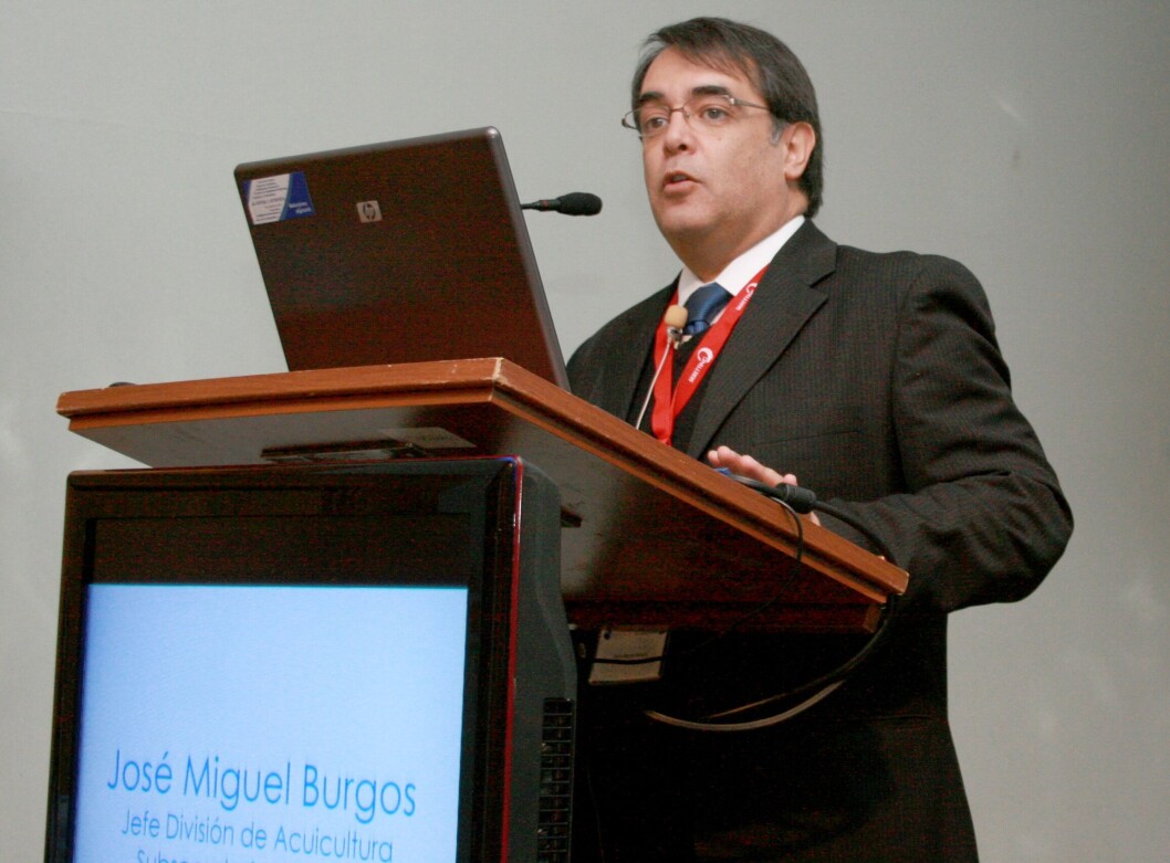 José Miguel Burgos, exdirector nacional de Sernapesca, actual investigador de la Universidad de Chile y consultor en Acuiestudios. José Miguel Burgos, exdirector nacional de Sernapesca, actual investigador de la Universidad de Chile y consultor en Acuiestudios.