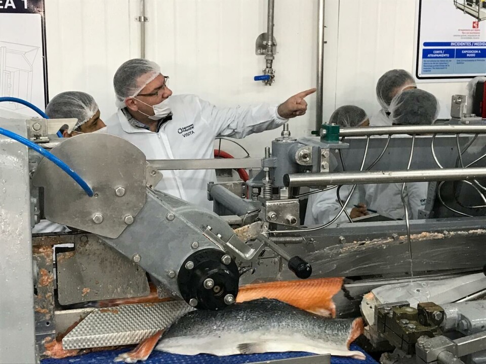 Seremi del Trabajo de Los Lagos, Fernando Gebhart, en visita a una planta de procesos de salmón. Foto: Seremi del Trabajo de Los Lagos.