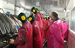 Gobierno explica a sindicatos salmonicultores Ley de Protección al Empleo