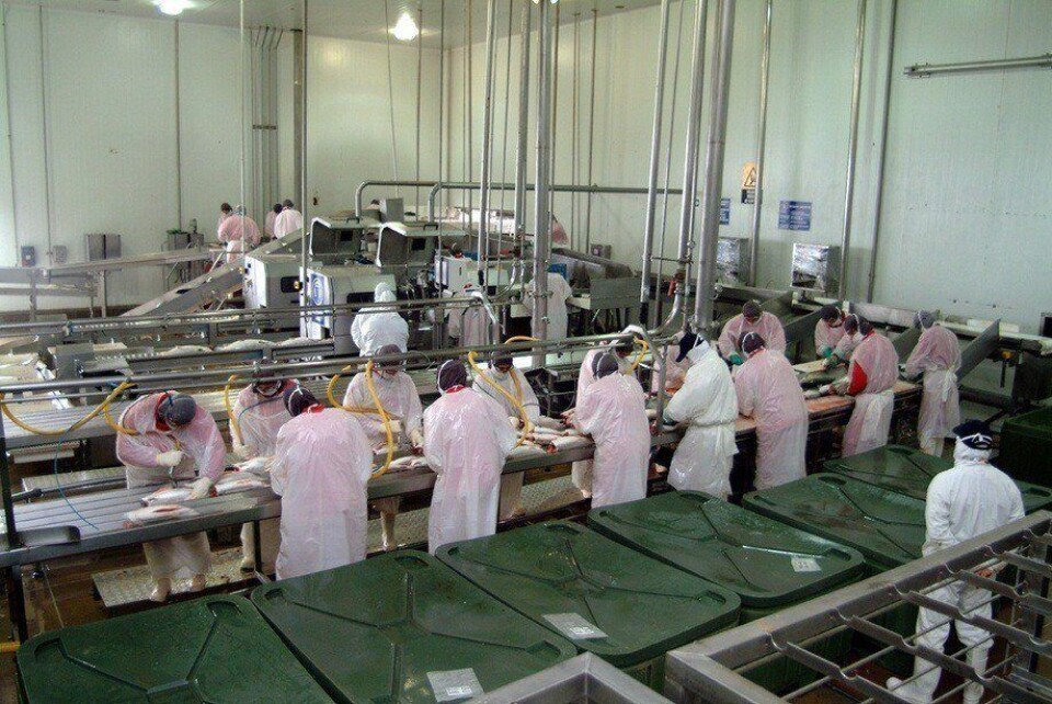 Desde el gremio aseguran que las plantas de proceso están operando de manera reducida. Imagen: Archivo Salmonexpert.