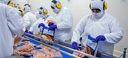 Gobierno solicita colaboración de salmonicultores para bajar contagios por covid-19