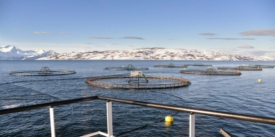 Imagen referencial de centro de cultivo de salmón en Noruega. Foto: Kyst.no.