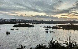 Declaración de humedales en Puerto Montt pondría en riesgo a proyecto de piscicultura