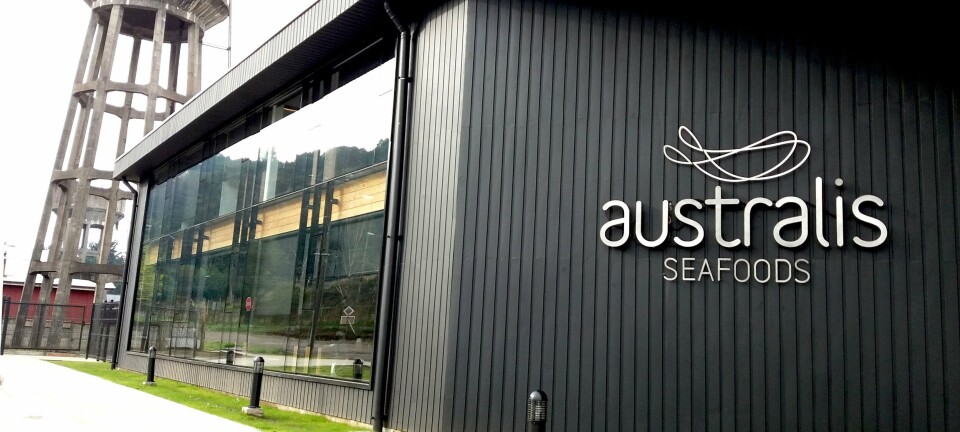 Australis Seafoods responde declaración de querellantes por muerte de ballenas