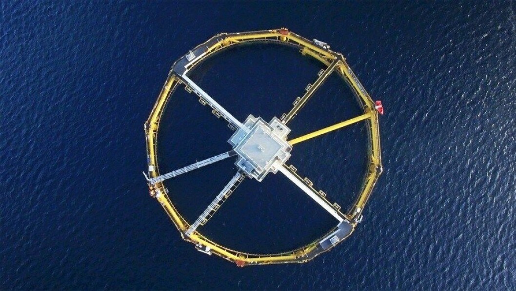 SalMar ha puesto fuera de servicio la jaula oceánica Ocean Farm 1, y está previsto que se actualice y se ponga en funcionamiento en el otoño del próximo año (Hemisferio norte). Foto: SalMar. SalMar ha puesto fuera de servicio la jaula oceánica Ocean Farm 1, y está previsto que se actualice y se ponga en funcionamiento en el otoño del próximo año (Hemisferio norte). Foto: SalMar.