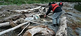 Denuncian diversos residuos salmonicultores en Parque Nacional Laguna San Rafael
