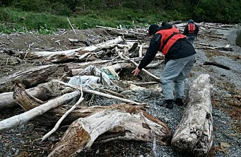 Denuncian diversos residuos salmonicultores en Parque Nacional Laguna San Rafael