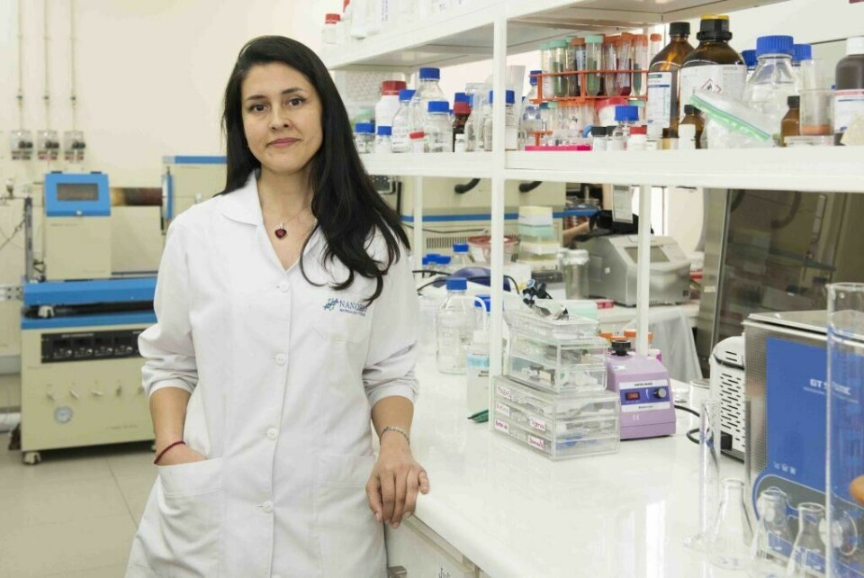 Dra. Carolina Parra, directora del Laboratorio de Nanobiomateriales de la USM y directora del proyecto Fondef. Foto: USM.