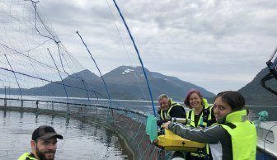 Científicos de Sintef Noruega realizaron esta innovación robótica para la salmonicultura. Foto: Kyst.no