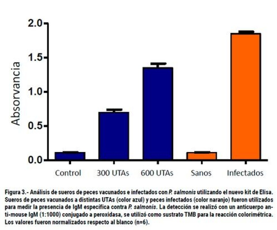 Desarrollo de kits de Elisa para la evaluación y determinación de la calidad de las vacunas comerciales contra Piscirickettsiosis utilizadas por la industria salmonicultora