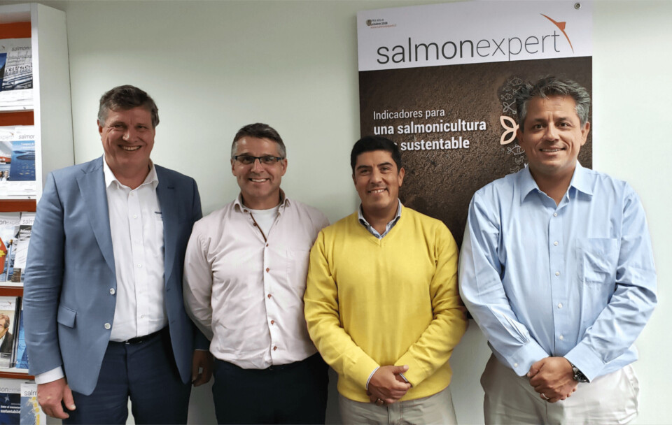 Ejecutivos de Hendrix Genetics visitaron Chile recientemente. De izquierda a derecha: Antoon Van den Berg, Neil Manchester, Rodrigo Torrijo y Felipe Almendras. Foto: Salmonexpert.
