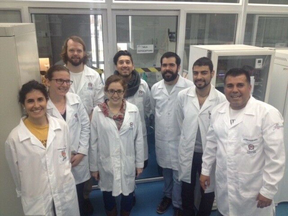 Equipo de trabajo de la Facultad de Ciencias Biológicas de la Universidad Andrés Bello, liderado por el Dr. Rubén Avendaño-Herrera.