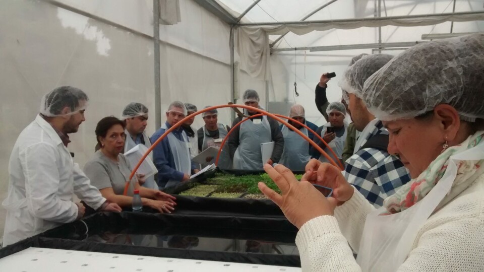 Hidroponía y Acuaponía: innovadores sistemas de producción agrícola
