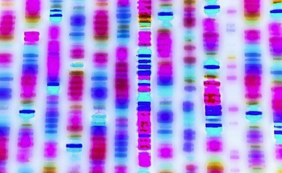 La accesibilidad a la secuenciación de ADN está aumentando la tasa de descubrimientos microbiológicos. Imagen: Fish Health Forum / Pharmaq.
