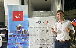 Hito para la industria: concretan primer envío de salmón fresco chileno a Indonesia