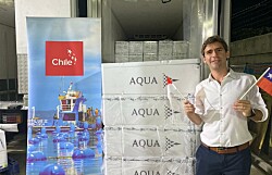 Hito para la industria: concretan primer envío de salmón fresco chileno a Indonesia
