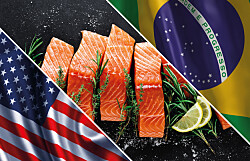Destacan buen desempeño del salmón chileno en sus principales mercados