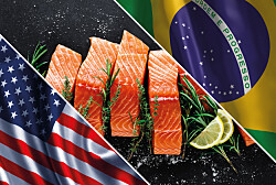 Destacan buen desempeño del salmón chileno en sus principales mercados