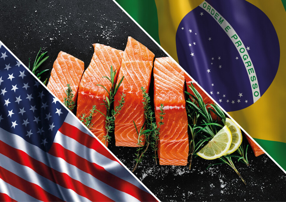 Al quinto mes del año, el valor de envíos de salmónidos a Estados Unidos y Brasil fue de US$ 875 millones y US$ 254 millones, respectivamente. Imagen: Archivo Salmonexpert.