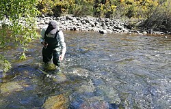 Detectan residuos orgánicos en cauce de descarga de piscicultura Río Pescado