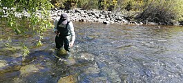 Detectan residuos orgánicos en cauce de descarga de piscicultura Río Pescado