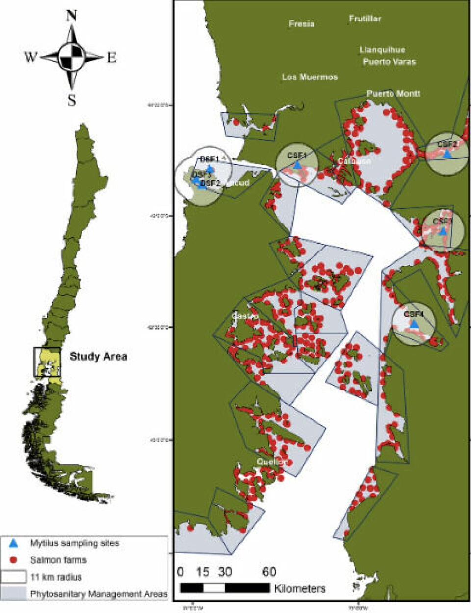 Ubicación geográfica de los sitios de muestreo de choritos lejos (DSF) y cercanos (CSF) a centros de cultivo de salmón (Hacer clic en la imagen para ampliar). Fuente: Ramírez y col., 2021.