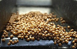 Evaluación de la harina de soya fermentada como ingrediente en las dietas