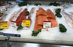 Diferencia de precios entre salmón chileno y noruego es la mayor en 15 años