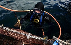 Productores de salmón chileno impulsarán capacitaciones para un buceo seguro