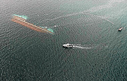 Directemar: Accidentes de barcos no son atribuibles a uso de piloto automático