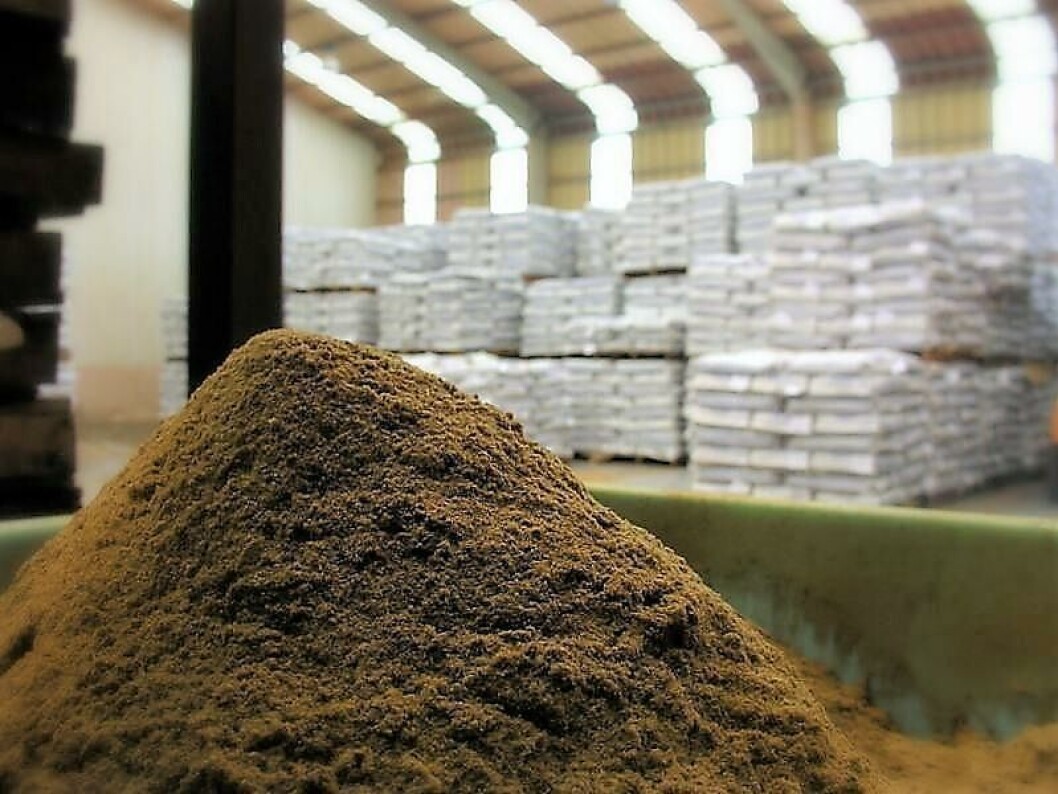La industria del salmón es neutra si se mide con el método eFIFO. Foto: Archivo Salmonexpert. La industria del salmón es neutra si se mide con el método eFIFO. Foto: Archivo Salmonexpert.