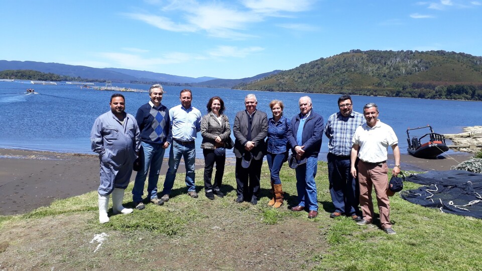 Directores de Codeproval en río Tornagaleones. Imagen: Salmonchile.