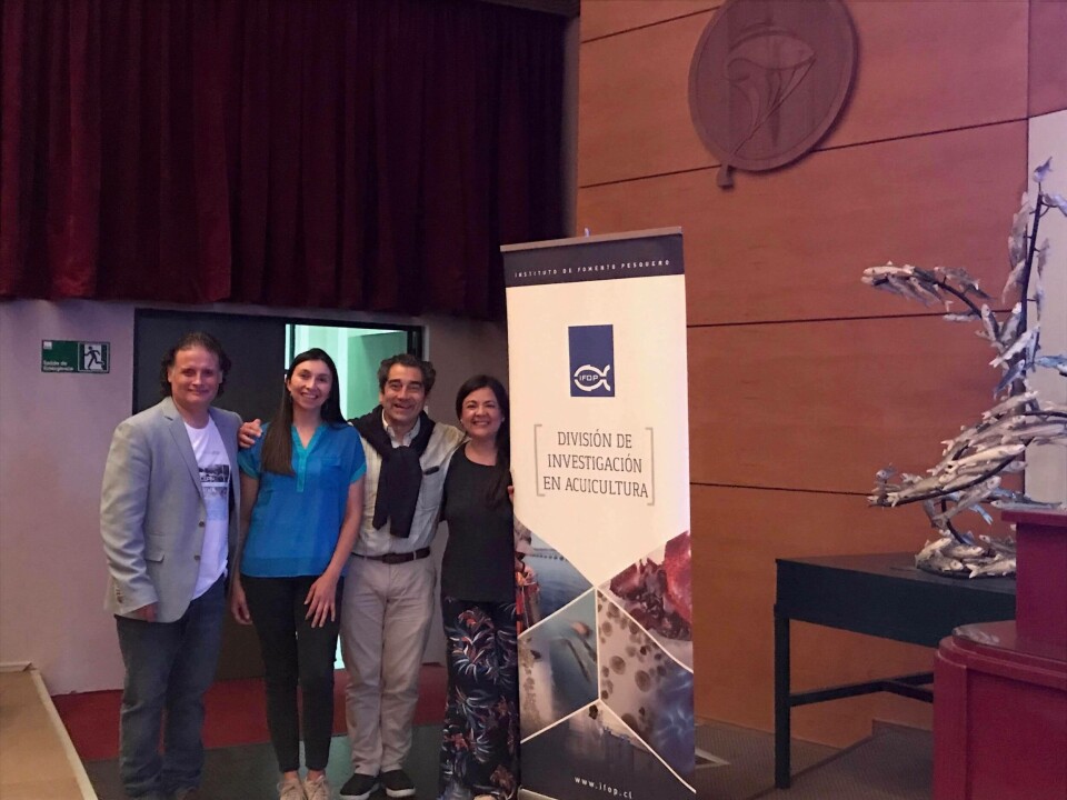 Especialistas a cargo del proyecto del IFOP en taller de difusión. Foto: IFOP.