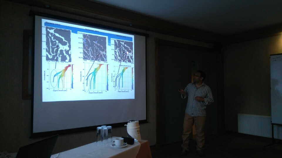 'Modelación Hidrodinámica: Aplicaciones en Acuicultura'. Foto: IFOP.