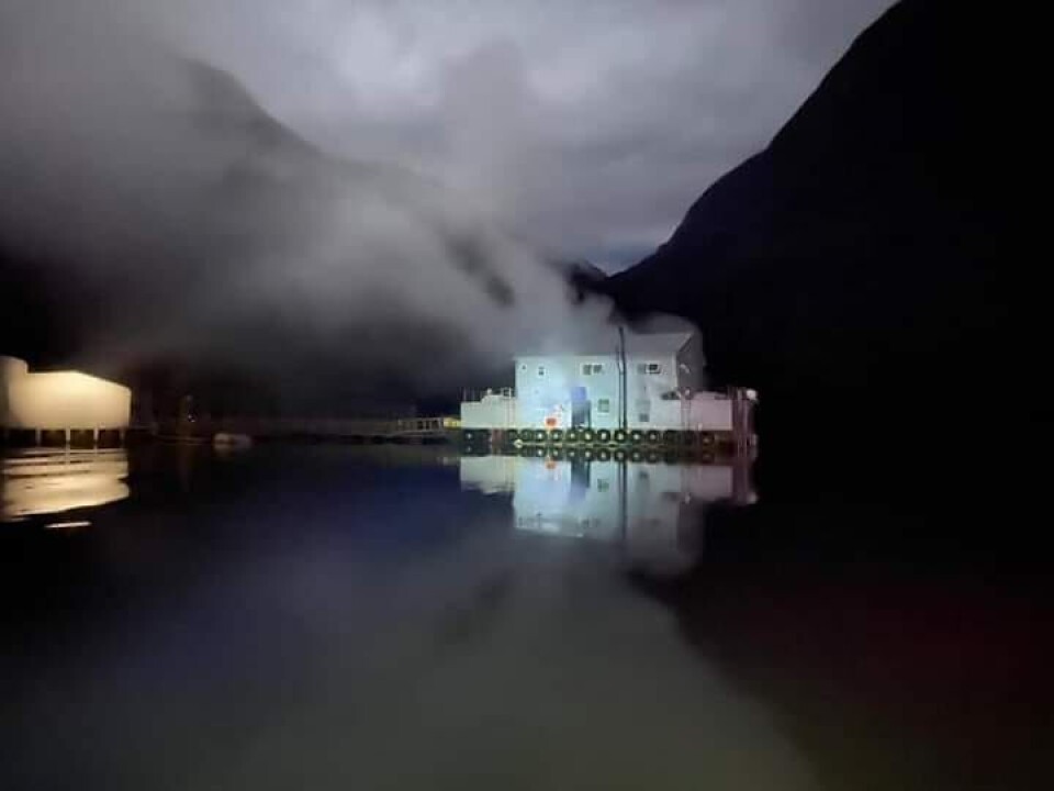 De acuerdo a bomberos incendio habría afectado del 10 al 15% de la estructura del pontón. Foto: Bomberos Hualaihue.