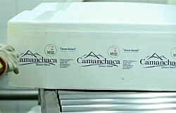 Ebitda de Salmones Camanchaca cae 58,9% por menores precios