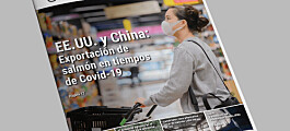 EE.UU. y China: Exportaciones de salmón chileno en tiempos de Covid-19