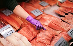 Efecto pandemia: Los cambios en consumo de salmón en Estados Unidos
