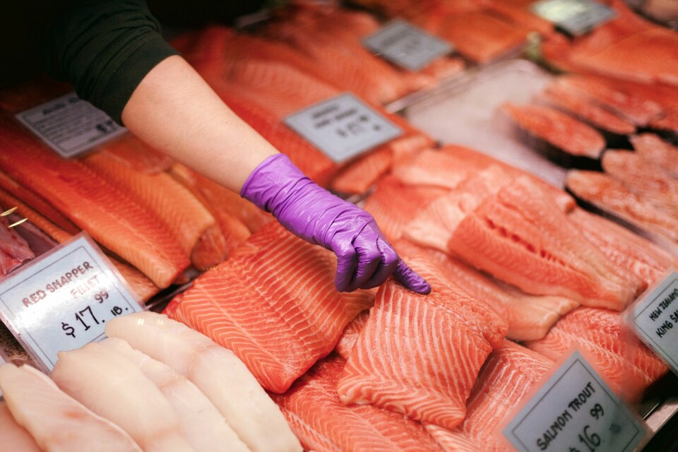 Debido a la pandemia, el consumo de salmón cambió de los restaurantes a los supermercados. Foto: Archivo Salmonexpert.