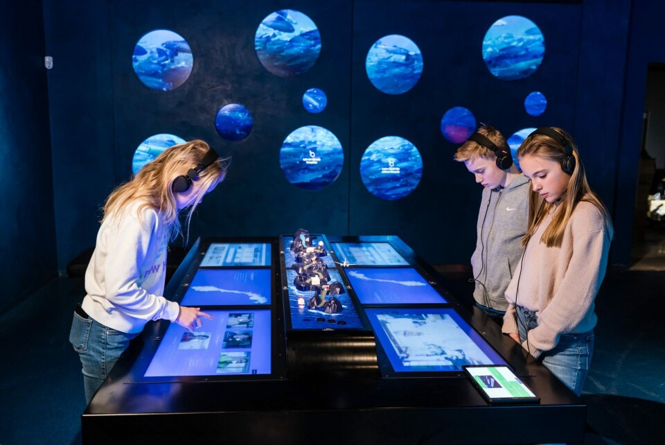 The Salmon View Center, ubicado en Oslo, Noruega, fue abierto el 27 de febrero de 2019. Foto: Archivo Salmonexpert.